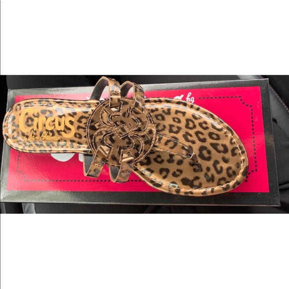 circus by sam edelman canyon medallion flat sandals